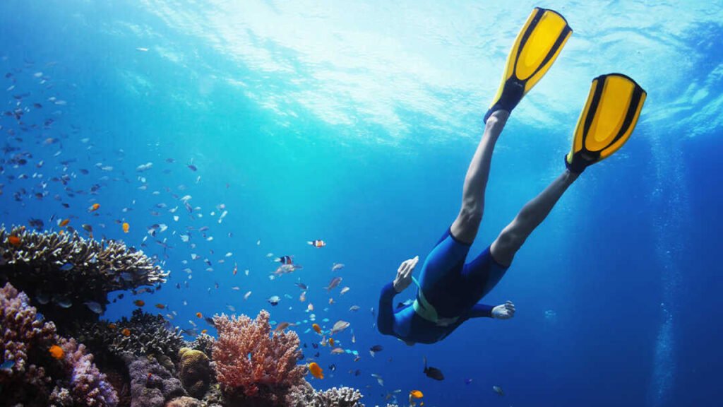 Menjangan Island – POS 2