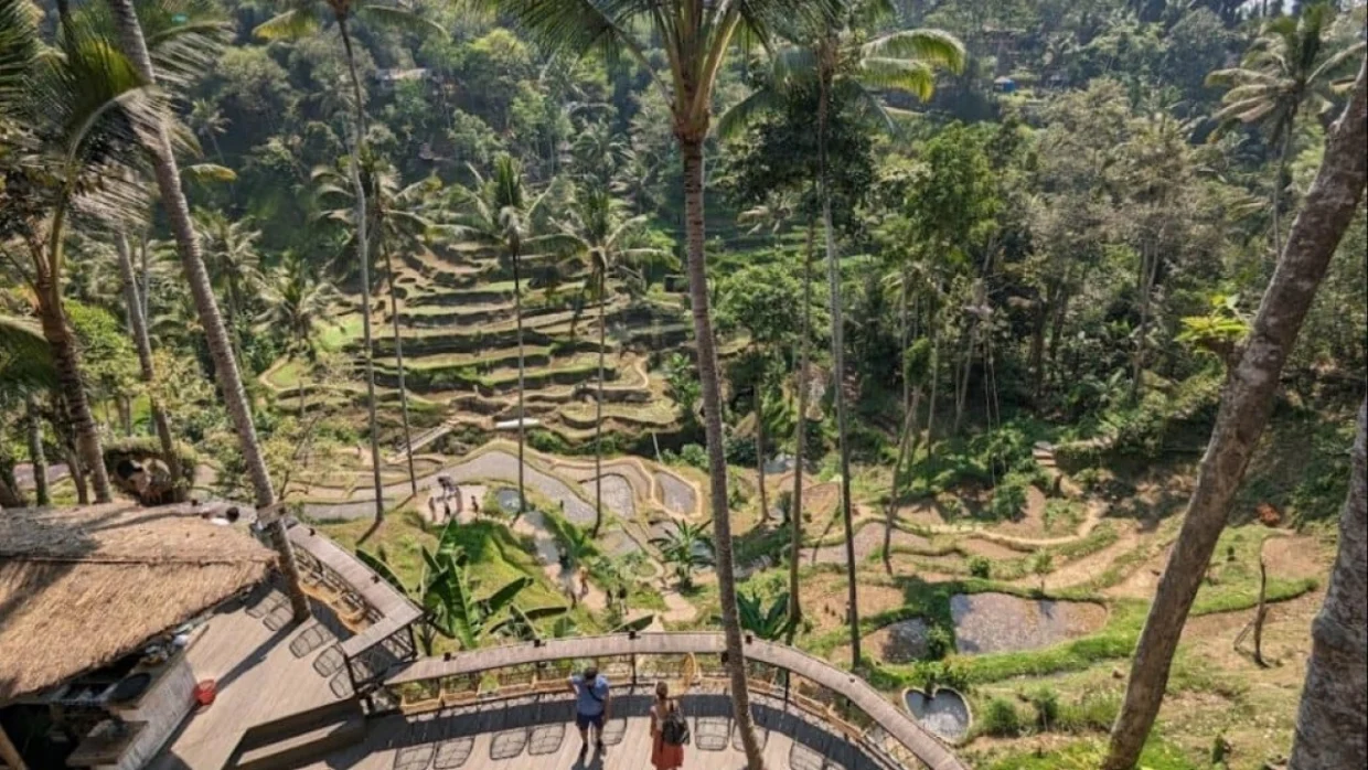 Day 4: Scenic & Spiritual Ubud