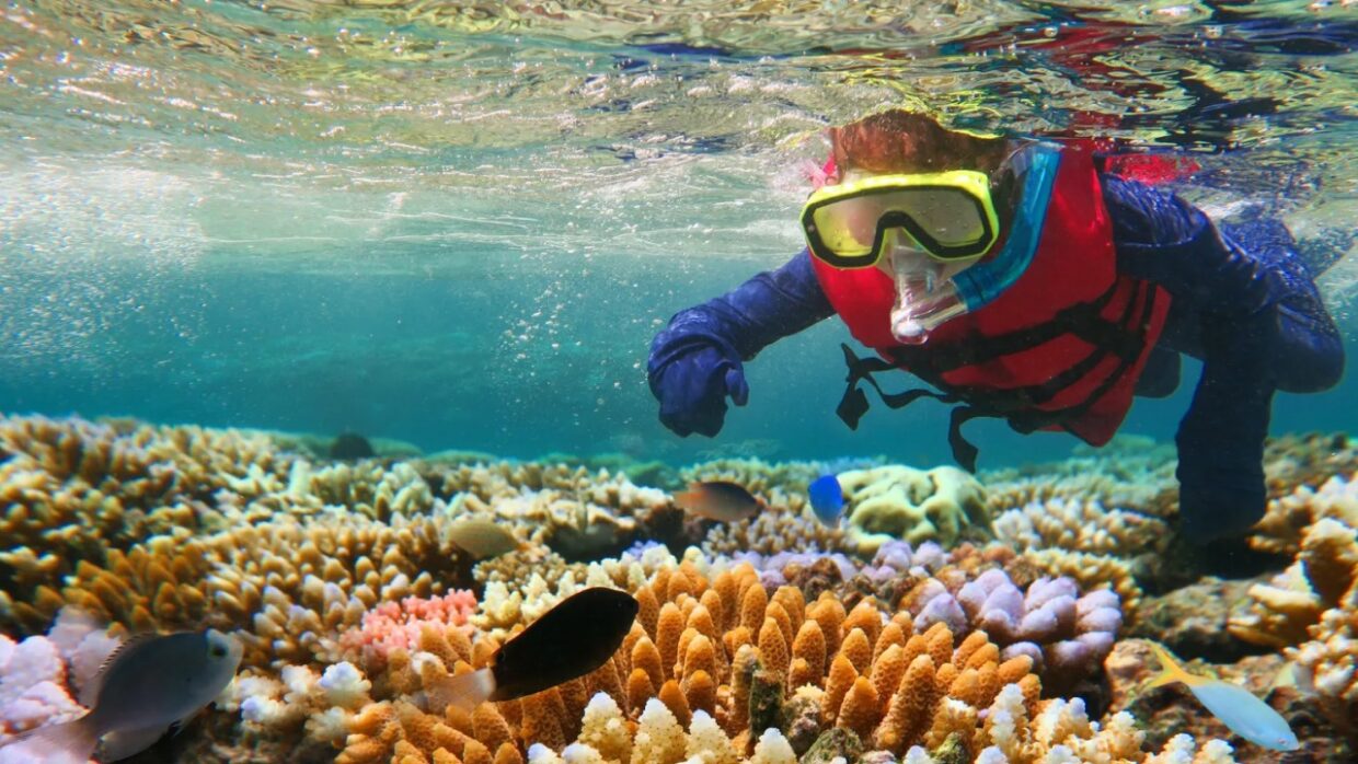 Crystal Bay Snorkeling