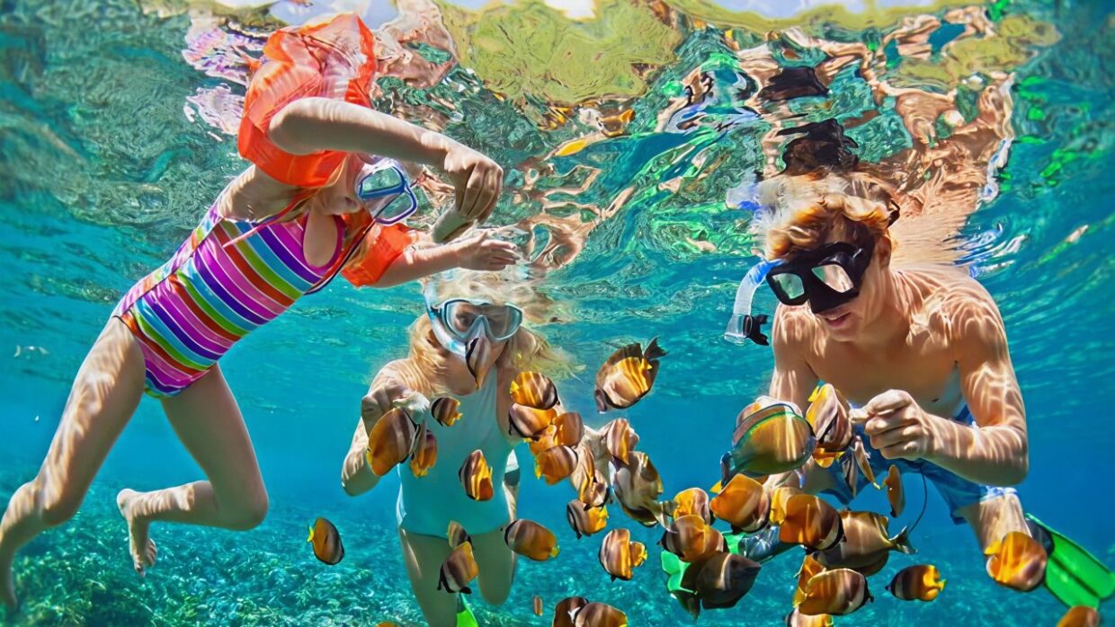Snorkeling day trips to the Nusa Islands