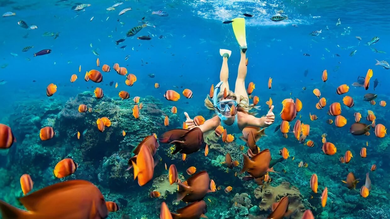 Snorkeling