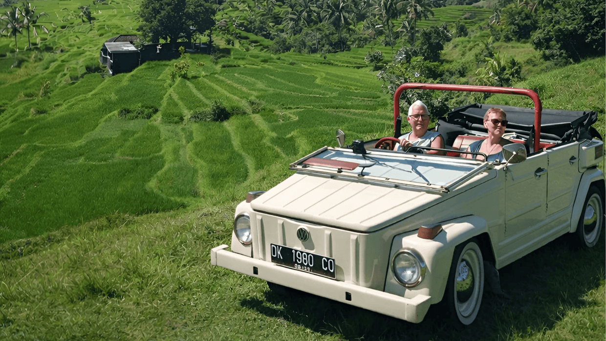 Take a Vintage VW Countryside Safari