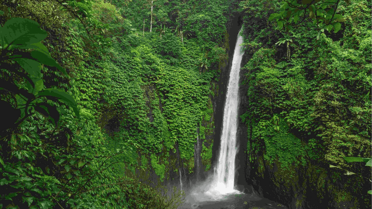 Explore Munduk’s Waterfalls and Ancient Jungle